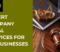 Expert Company Legal Services for UK Businesses